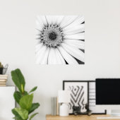アフリカデイジーモノクロフローラ ポスター (ホームオフィス)