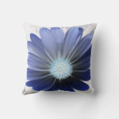 アフリカデイジー白熱［赤熱］光を放つブルーピロー クッション (裏面)