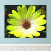 アフリカデイジー蛍光イエローキャンバス印刷 キャンバスプリント (インサイチュ (ウッドフロア))