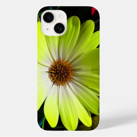 アフリカデイジー蛍光イエロー Case-Mate iPhoneケース (裏面)
