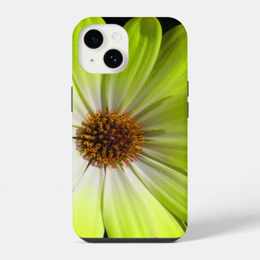 アフリカデイジー蛍光イエロー iPhoneケース (裏面)
