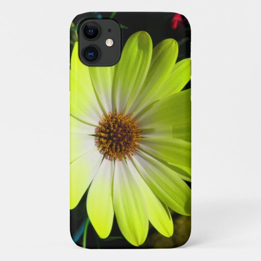 アフリカデイジー蛍光イエローiphone 3 ケース Case-Mate iPhoneケース (裏面)