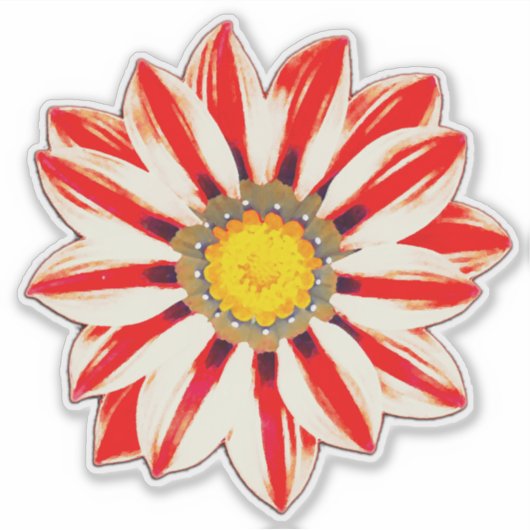アフリカデイジー/ガサ赤と白ニア シール (正面)