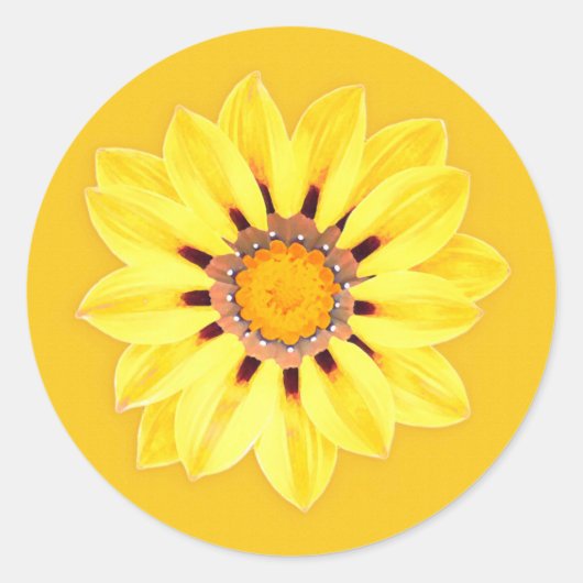 アフリカデイジー/ガザニア – マスタード金ゴールド ラウンドシール (正面)