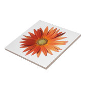 アフリカデイジー タイル (側面)