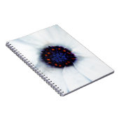 アフリカデイジー ノートブック (右側)