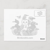 アフリカハト ポストカード (裏面)