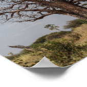 アフリカバオバブの木 ポスター (角)