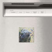 アフリカバッファロー マグネット (インサイチュ (食洗機))