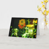 アフリカヒナギクカード カード (黄色い花)