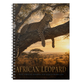 アフリカヒョウ アカシア サバンナ 動物 ノートブック