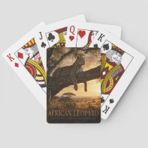 アフリカヒョウ アカシア サバンナ 動物 ポーカー