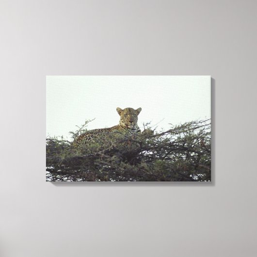 アフリカヒョウ キャンバスプリント (正面)