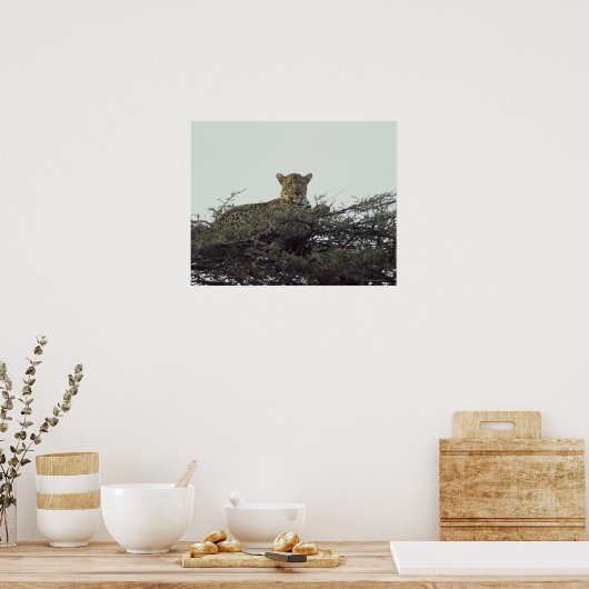 アフリカヒョウ ポスター (キッチン)