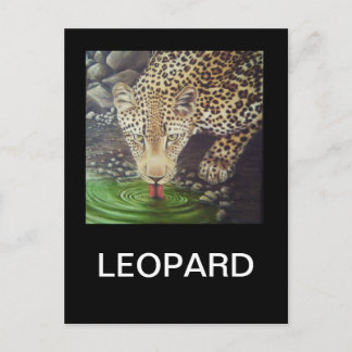 アフリカヒョウ ポストカード