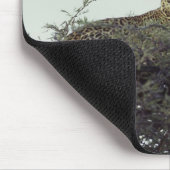 アフリカヒョウ マウスパッド (コーナー)