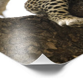 アフリカヒョウ, Panthera pardus フォトプリント (角)