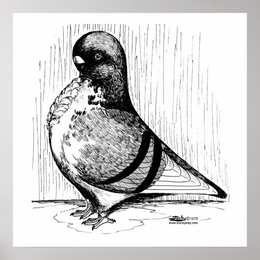 アフリカフクロウハト1978 ポスター (正面)