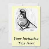 アフリカフクロウハト1978 招待状 (正面)