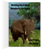 アフリカブルゾウ、誕生日カード (内側 (右))