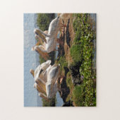 アフリカペリカン ジグソーパズル (縦)