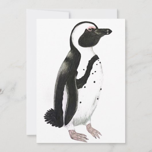 アフリカペンギンの鉛筆画 招待状 (正面)