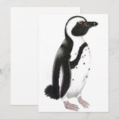 アフリカペンギンの鉛筆画 招待状 (正面/裏面)
