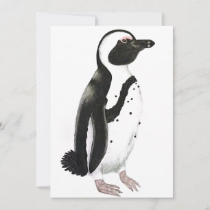 アフリカペンギンの鉛筆画 招待状