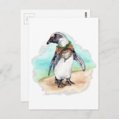 アフリカペンギンビーチ ポストカード (正面/裏面)