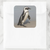 アフリカペンギン歩く スクエアシール (バッグ)