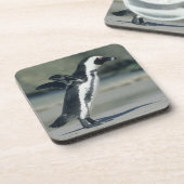 アフリカペンギン コースター (左側)