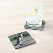 アフリカペンギン コースター (右側)