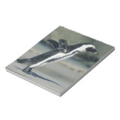 アフリカペンギン ノートパッド (回転)