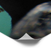 アフリカペンギン ポスター (角)