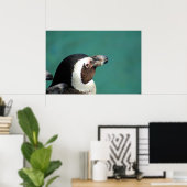 アフリカペンギン ポスター (ホームオフィス)