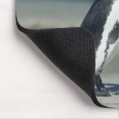 アフリカペンギン マウスパッド (コーナー)