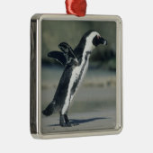 アフリカペンギン メタルオーナメント (右)