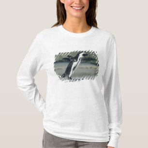 アフリカペンギン Tシャツ