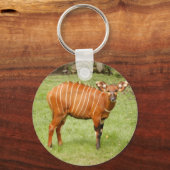 アフリカボンゴ キーホルダー (正面)