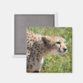 アフリカポートレート マグネット (正面/裏面)