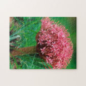 アフリカユリ（アガパンサス·プラエコックス）、マラ·マラ ジグソーパズル (横)