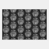 アフリカライオン設計ラッピング紙 ラッピングペーパーシート (正面)