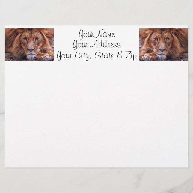 アフリカライオン (正面)