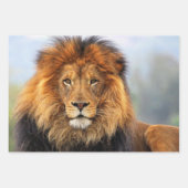アフリカライオン1 ラッピングペーパーシート (正面)