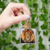 アフリカライオン2 キーホルダー (手)