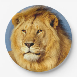 アフリカライオン2 ペーパープレート
