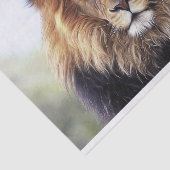 アフリカライオン（オス） 薄葉紙 (詳細)