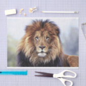 アフリカライオン（オス） 薄葉紙 (クラフト)