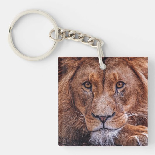 アフリカライオン キーホルダー (正面)