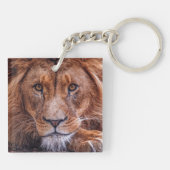 アフリカライオン キーホルダー (裏面)